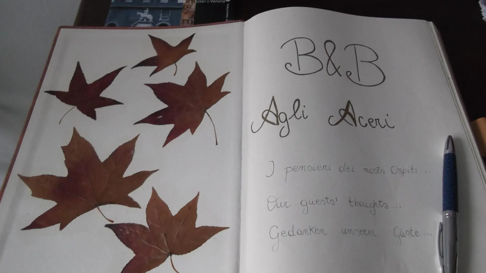 Bed & Breakfast Agli Aceri Verona